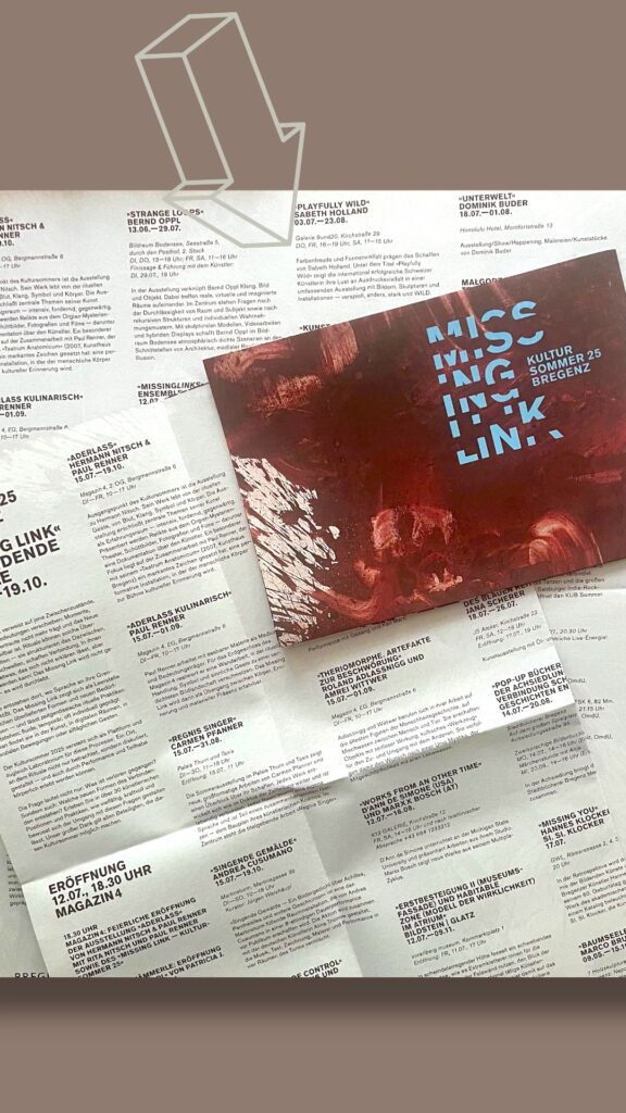 Missing Link Programm (2)